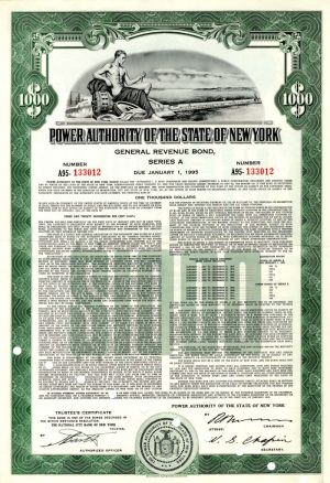 Power Authority of the State of New York - $1,000