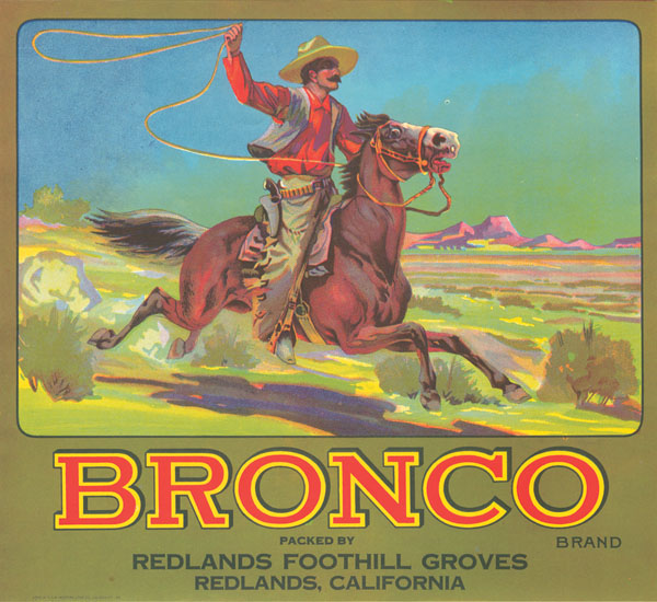 Fruit Crate Label - Bronco