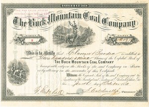 Buck Mountain Coal Co. - Stock Certificate