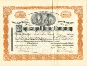 Capuzaya Mining Co. of Delaware - Stock Certificate