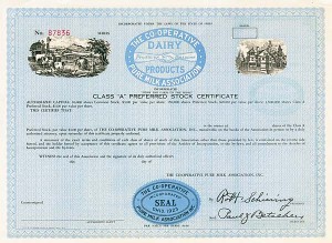 Co-Operative Pure Milk Association - Stock Certificate