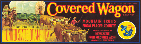 Covered Wagon