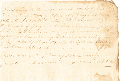 Virginia Slave Document