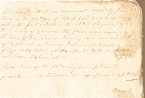 Virginia Slave Document
