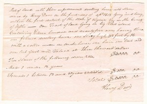 Virginia Slave Document