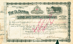 El Capitan Land and Cattle Co. - Stock Certificate