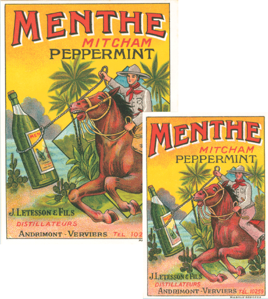 Menthe