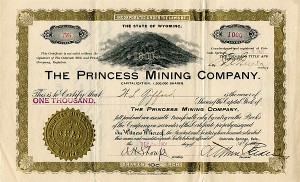 Princess Mining Company
