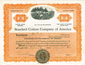 Standard Cotton Co. of America - Stock Certificate