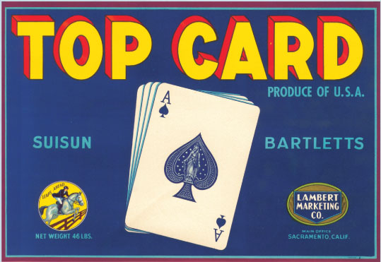 Top Card