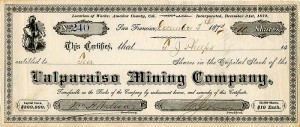 Valparaiso Mining Co.